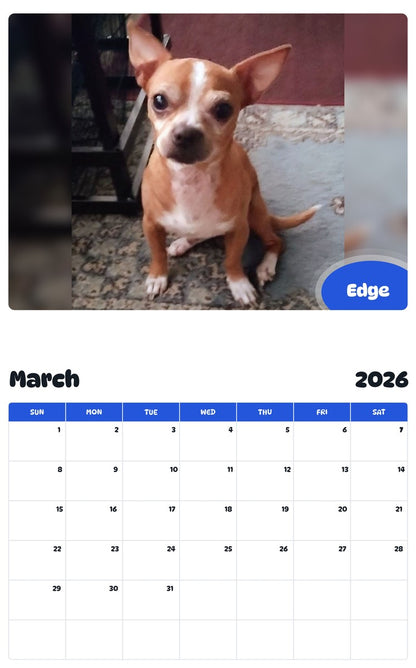 November 2025 - October 2026 Edge - Pawidols Pet Calendar