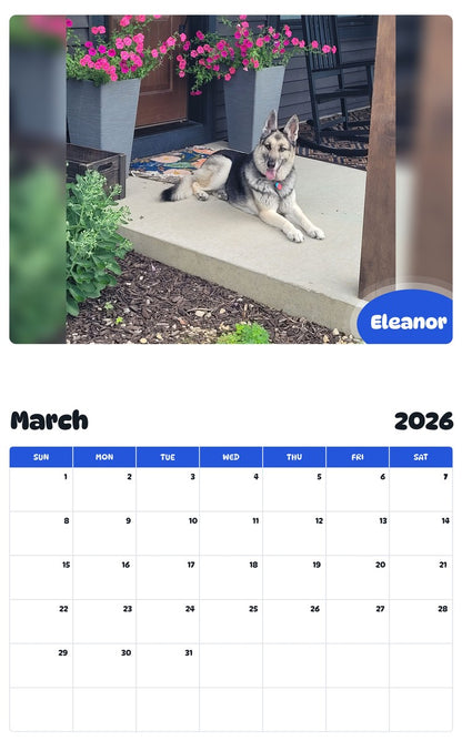 November 2025 - October 2026 Eleanor - Pawidols Pet Calendar