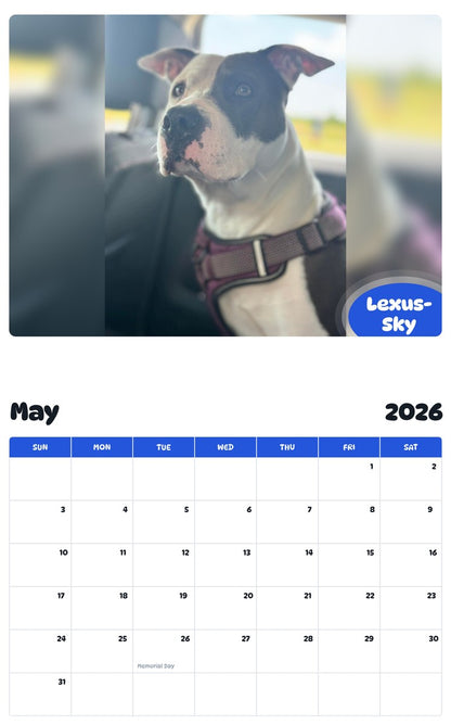 2026 - 2027 Lexus-Sky - Pawidols Pet Calendar