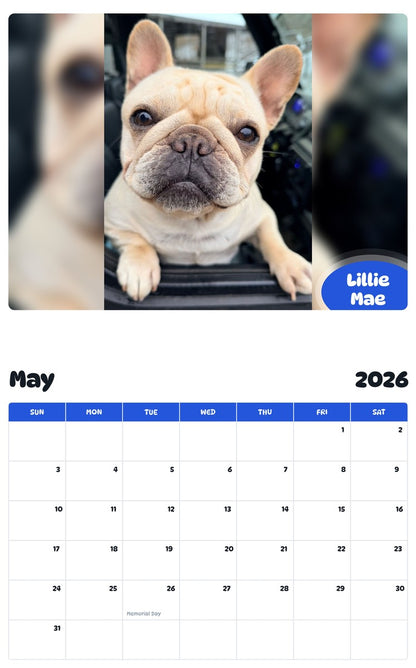 2026 - 2027 Lillie Mae - Pawidols Pet Calendar