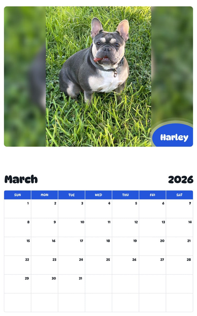November 2025 - October 2026 Harley - Pawidols Pet Calendar