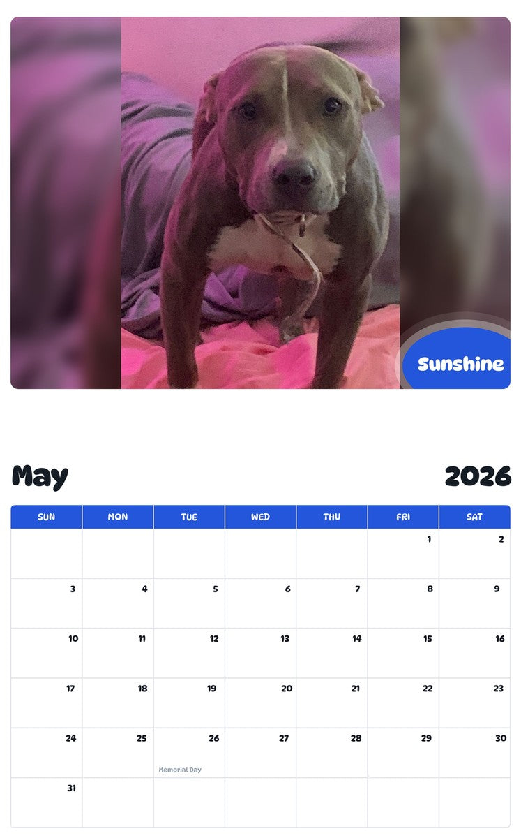 2026 - 2027 Sunshine - Pawidols Pet Calendar