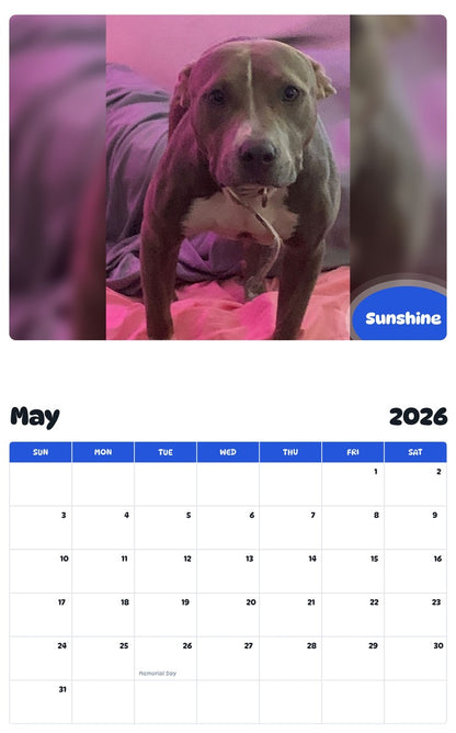 2026 - 2027 Sunshine - Pawidols Pet Calendar