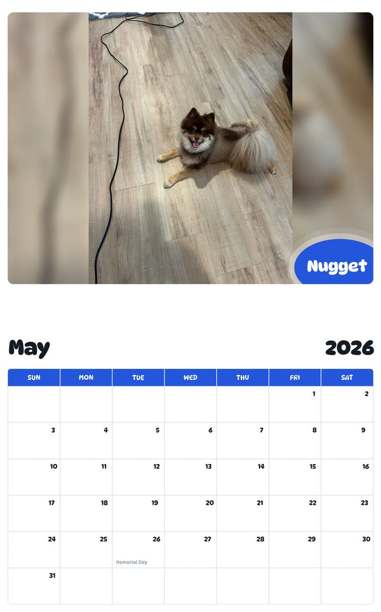 2026 - 2027 Nugget - Pawidols Pet Calendar