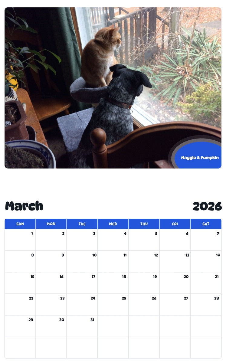 November 2025 - October 2026 Maggie & Pumpkin - Pawidols Pet Calendar