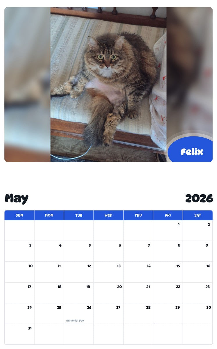 2026 - 2027 Felix - Pawidols Pet Calendar