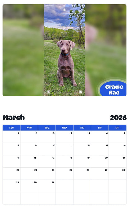 November 2025 - October 2026 Gracie Rae - Pawidols Pet Calendar