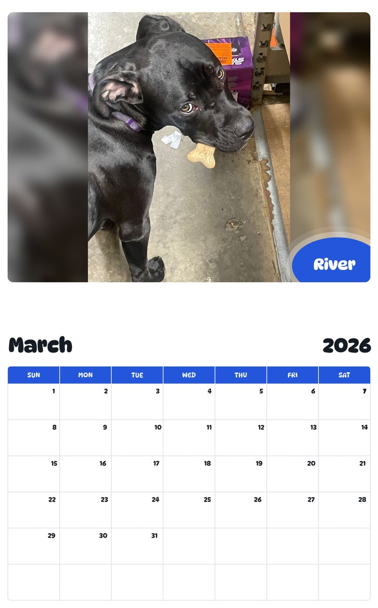 November 2025 - October 2026 River - Pawidols Pet Calendar