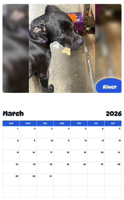 November 2025 - October 2026 River - Pawidols Pet Calendar