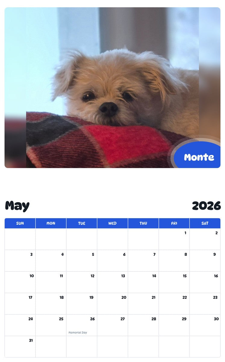 2026 - 2027 Monte - Pawidols Pet Calendar