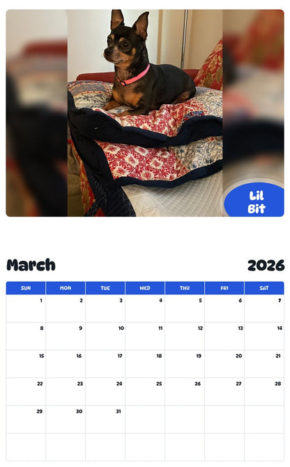 November 2025 - October 2026 Lil Bit - Pawidols Pet Calendar