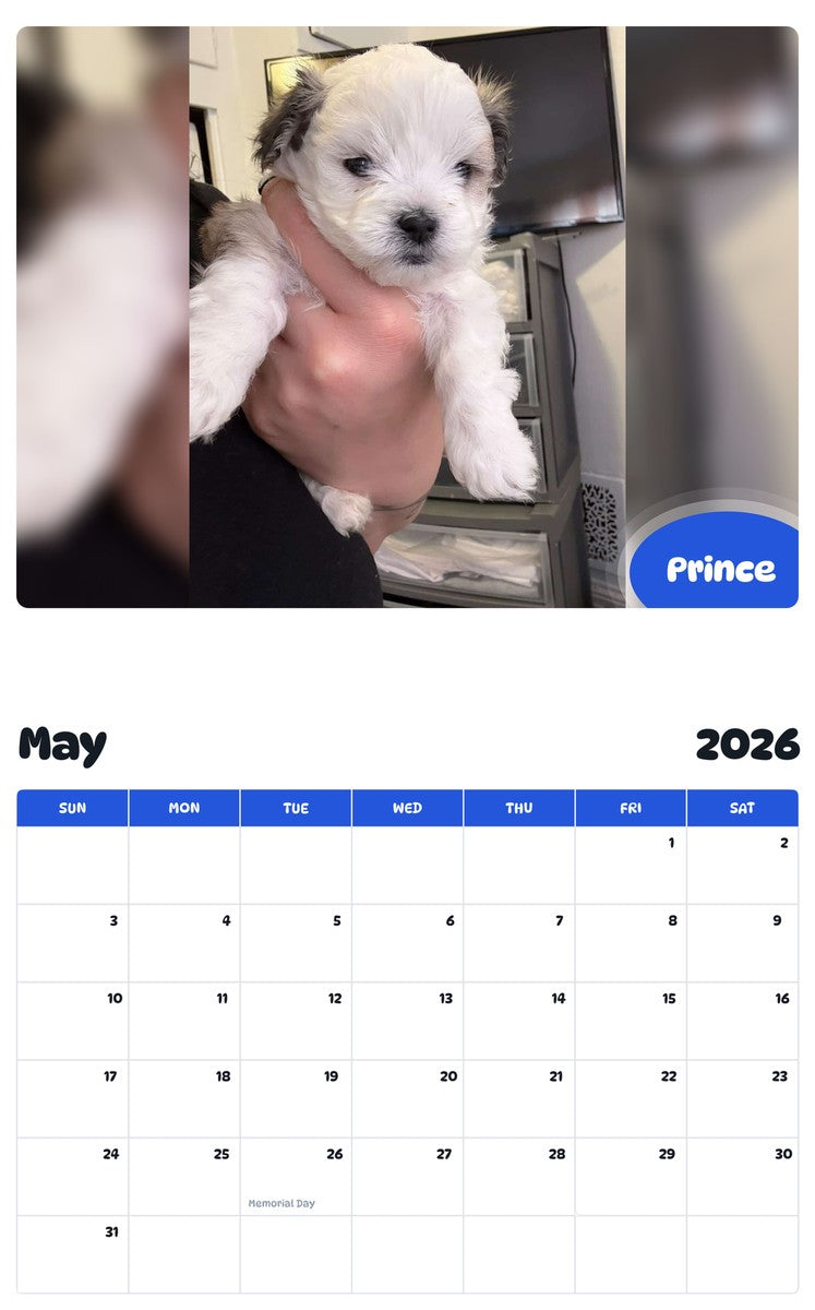 2026 - 2027 Prince - Pawidols Pet Calendar
