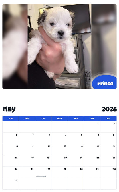 2026 - 2027 Prince - Pawidols Pet Calendar