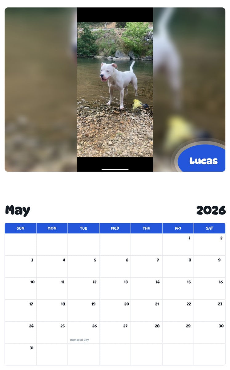 2026 - 2027 Lucas - Pawidols Pet Calendar