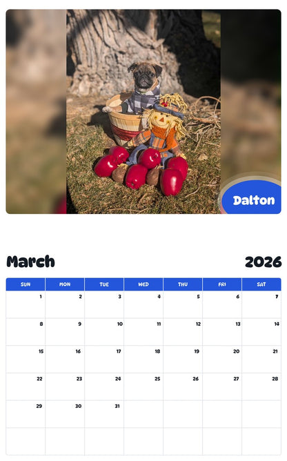 November 2025 - October 2026 Dalton - Pawidols Pet Calendar