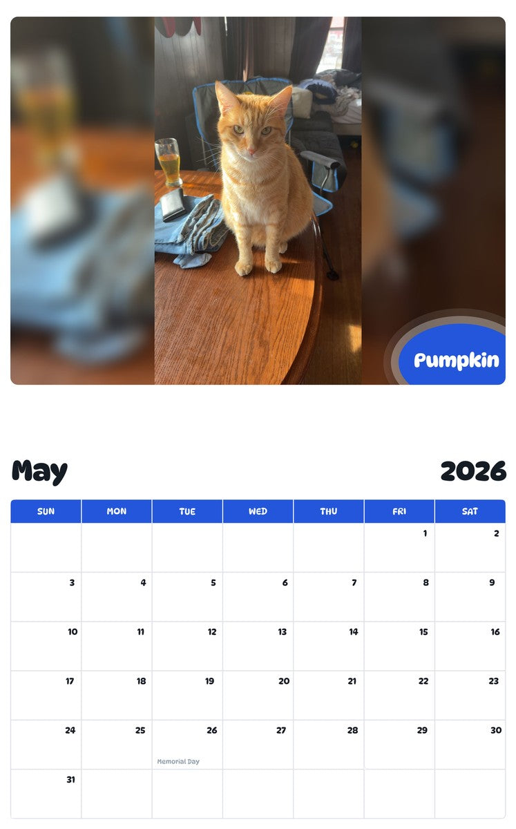 2026 - 2027 Pumpkin - Pawidols Pet Calendar