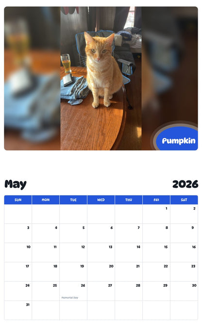 2026 - 2027 Pumpkin - Pawidols Pet Calendar