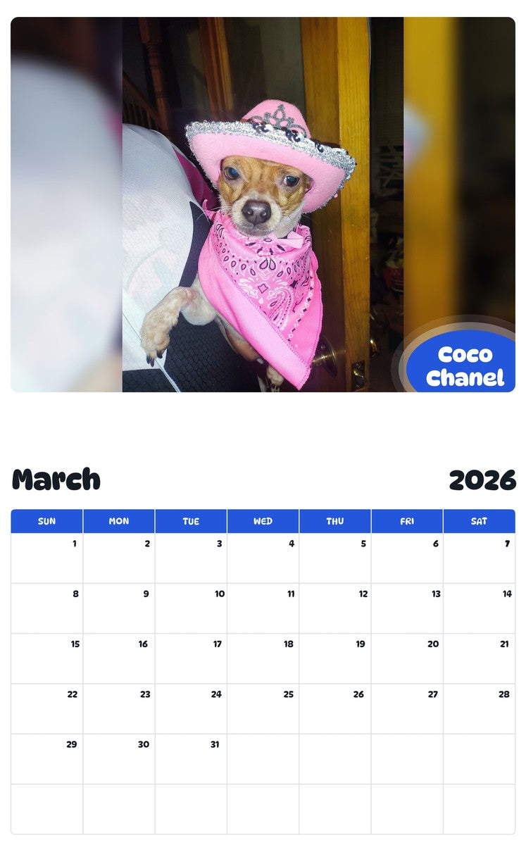 November 2025 - October 2026 Coco Chanel - Pawidols Pet Calendar