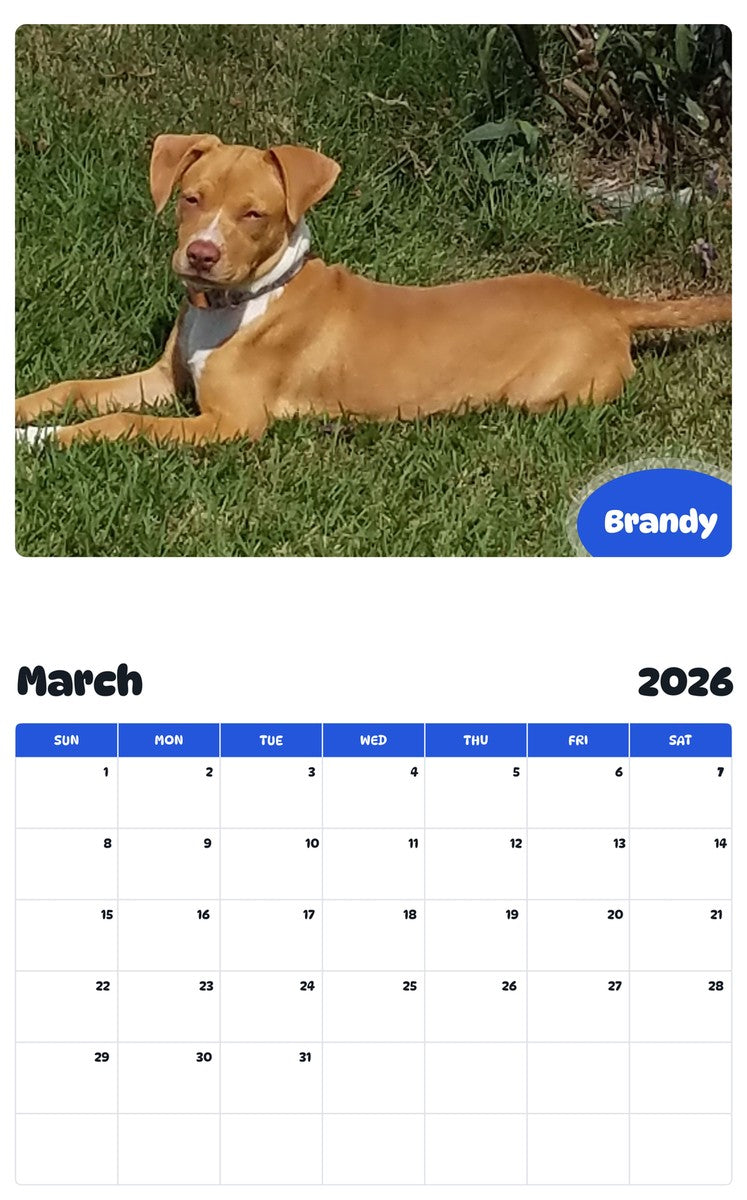 November 2025 - October 2026 Brandy - Pawidols Pet Calendar