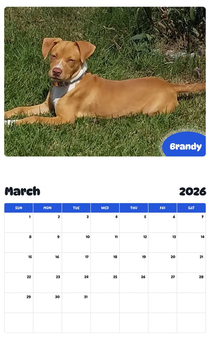 November 2025 - October 2026 Brandy - Pawidols Pet Calendar