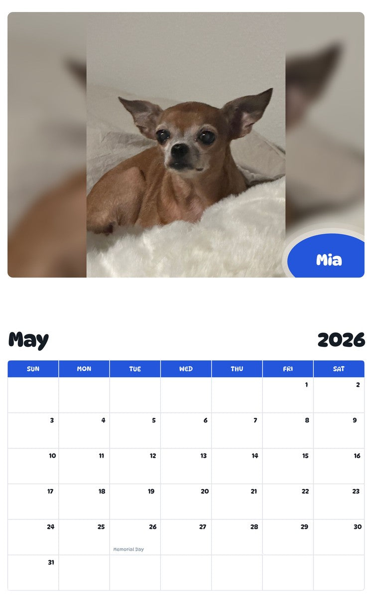 2026 - 2027 Mia - Pawidols Pet Calendar