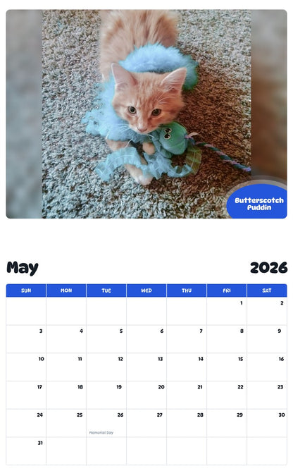 2026 - 2027 Butterscotch Puddin - Pawidols Pet Calendar