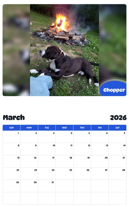 November 2025 - October 2026 Chopper - Pawidols Pet Calendar