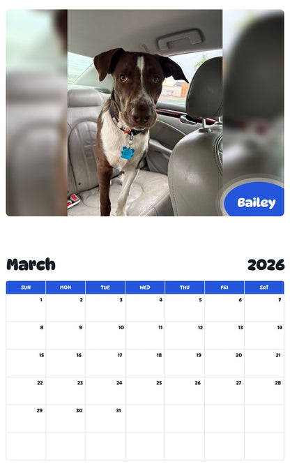 November 2025 - October 2026 Bailey - Pawidols Pet Calendar