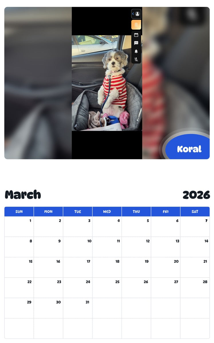 November 2025 - October 2026 Koral - Pawidols Pet Calendar