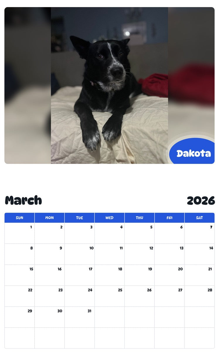 November 2025 - October 2026 Dakota - Pawidols Pet Calendar