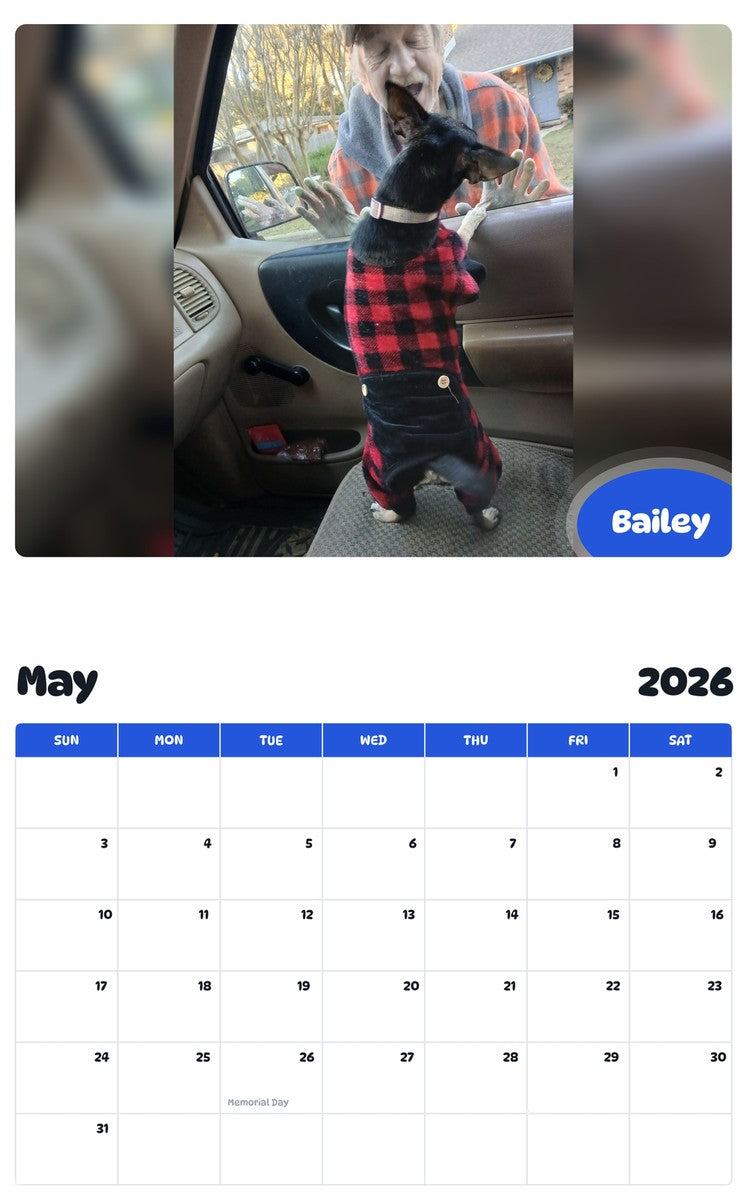 2026 - 2027 Bailey - Pawidols Pet Calendar