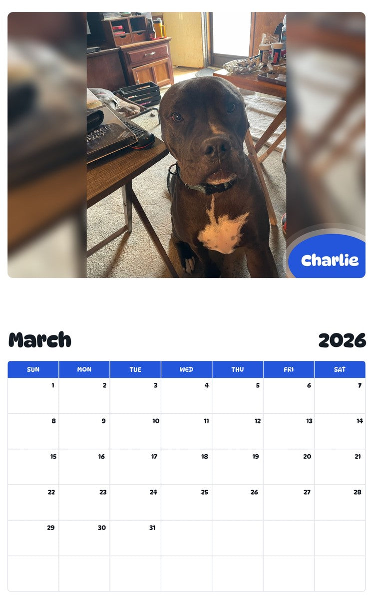 November 2025 - October 2026 Charlie - Pawidols Pet Calendar