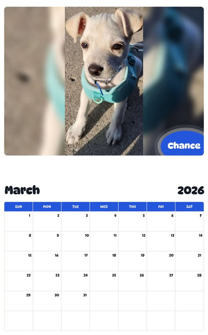 November 2025 - October 2026 Chance - Pawidols Pet Calendar