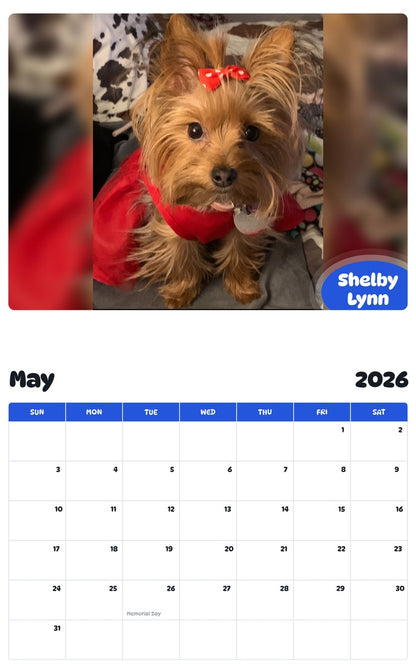 2026 - 2027 Shelby Lynn - Pawidols Pet Calendar