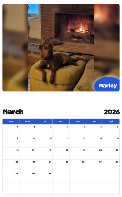 November 2025 - October 2026 Marley - Pawidols Pet Calendar