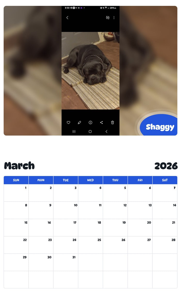 November 2025 - October 2026 Shaggy - Pawidols Pet Calendar