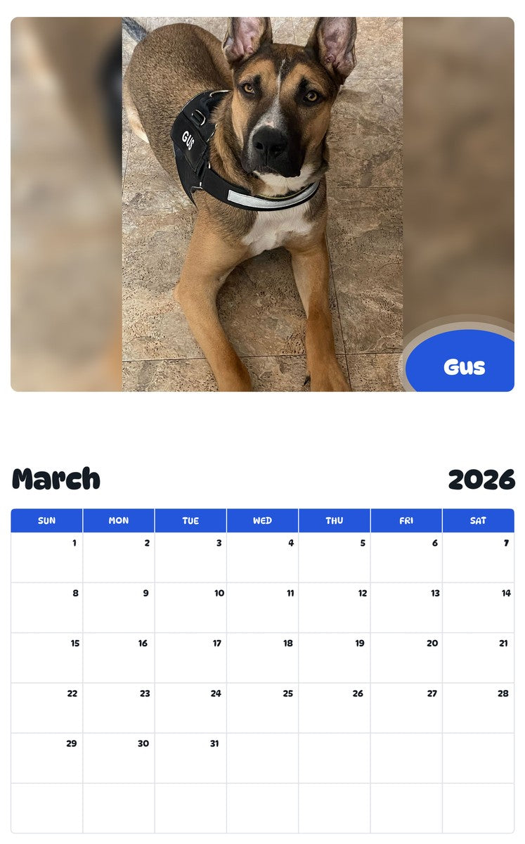 November 2025 - October 2026 Gus - Pawidols Pet Calendar