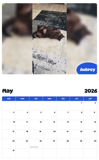 2026 - 2027 Aubrey - Pawidols Pet Calendar