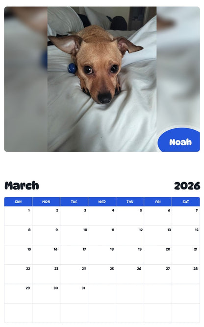 November 2025 - October 2026 Noah - Pawidols Pet Calendar