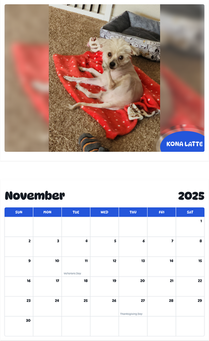 July 2025 - June 2026 Kona latte - Pawidols Pet Calendar