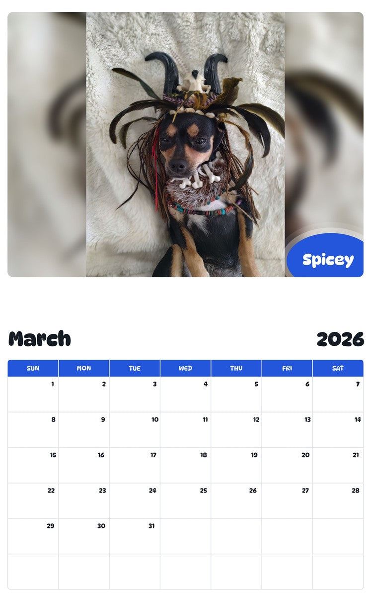 November 2025 - October 2026 Spicey - Pawidols Pet Calendar
