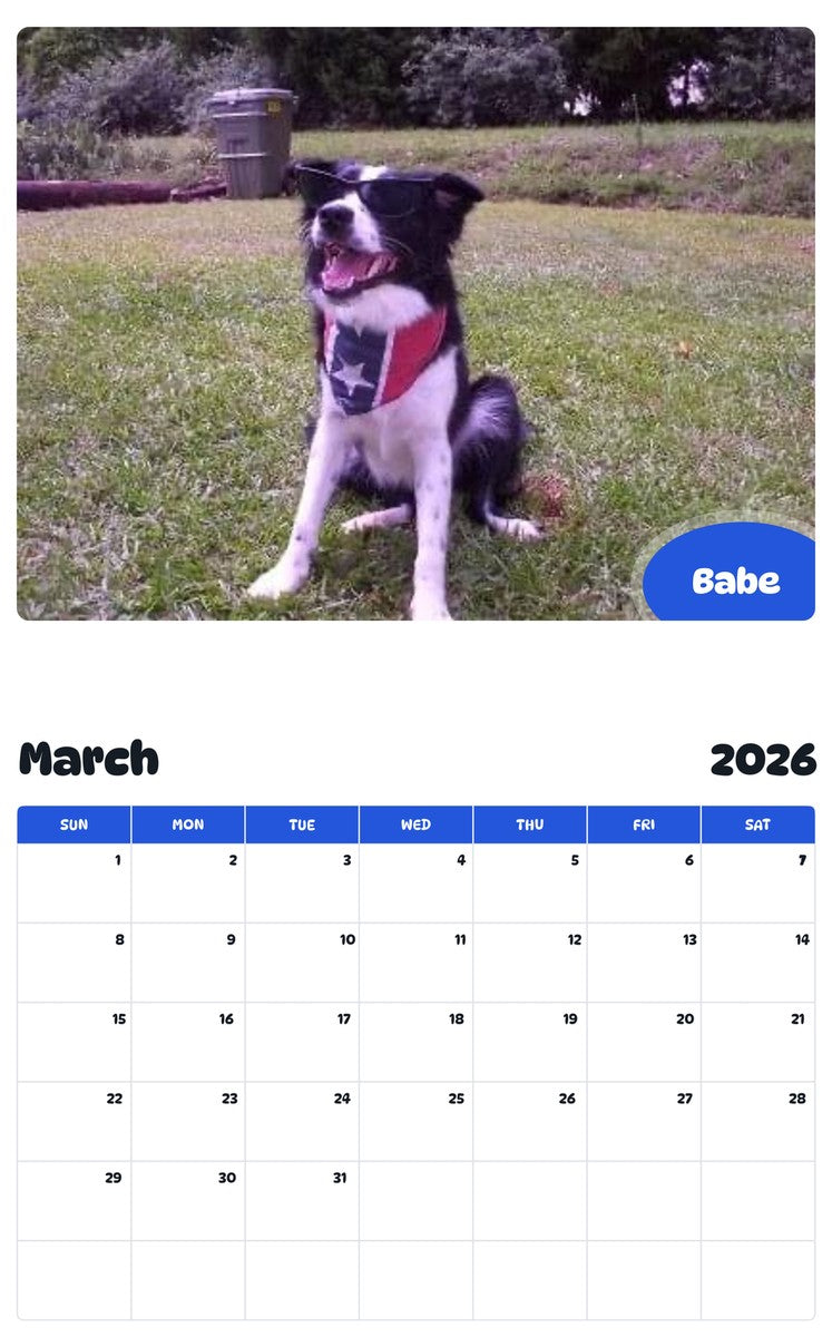 November 2025 - October 2026 Babe - Pawidols Pet Calendar