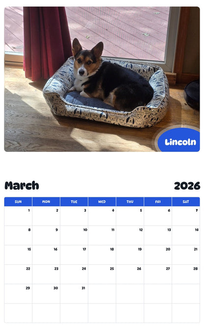 November 2025 - October 2026 Lincoln - Pawidols Pet Calendar