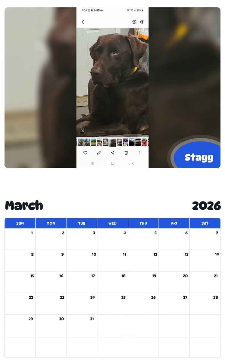 November 2025 - October 2026 Stagg - Pawidols Pet Calendar