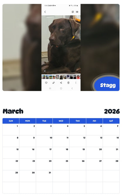 November 2025 - October 2026 Stagg - Pawidols Pet Calendar