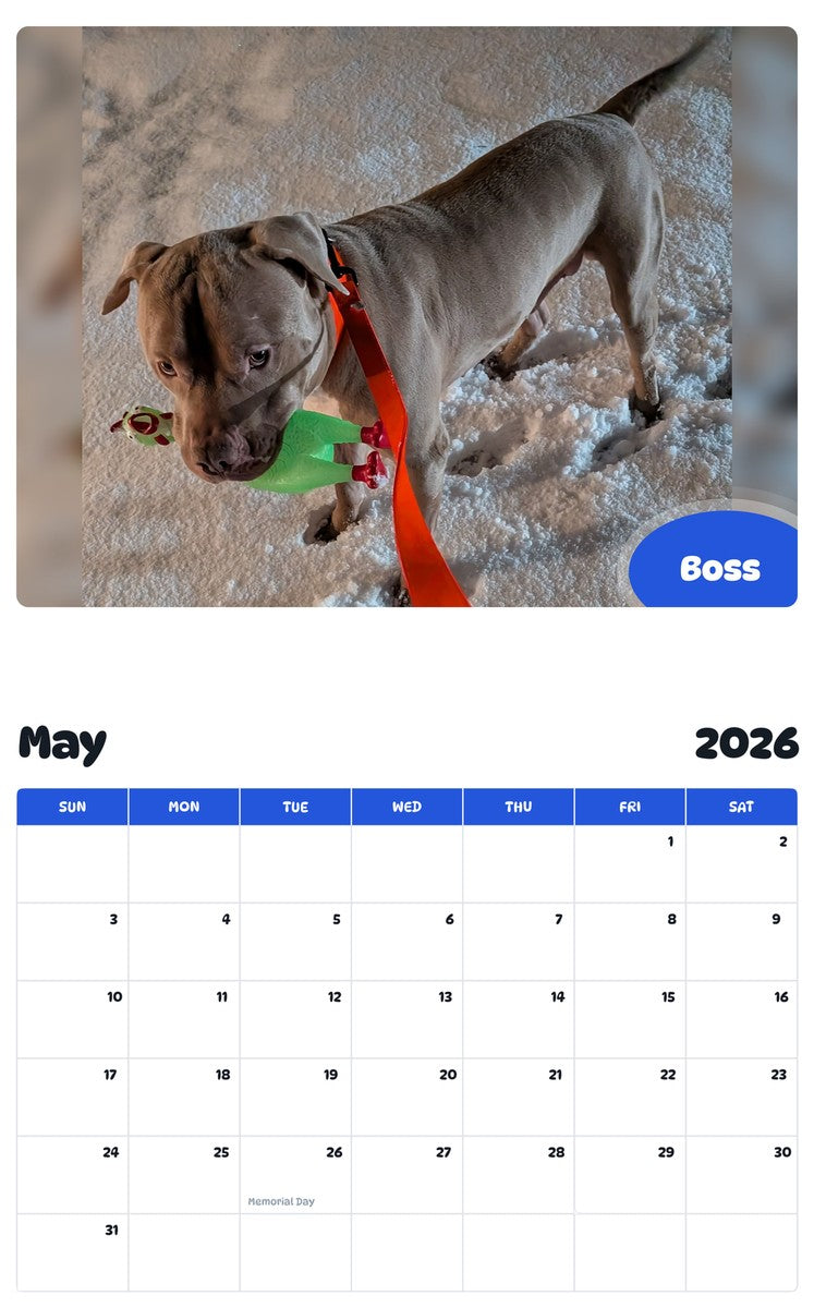 2026 - 2027 Boss - Pawidols Pet Calendar