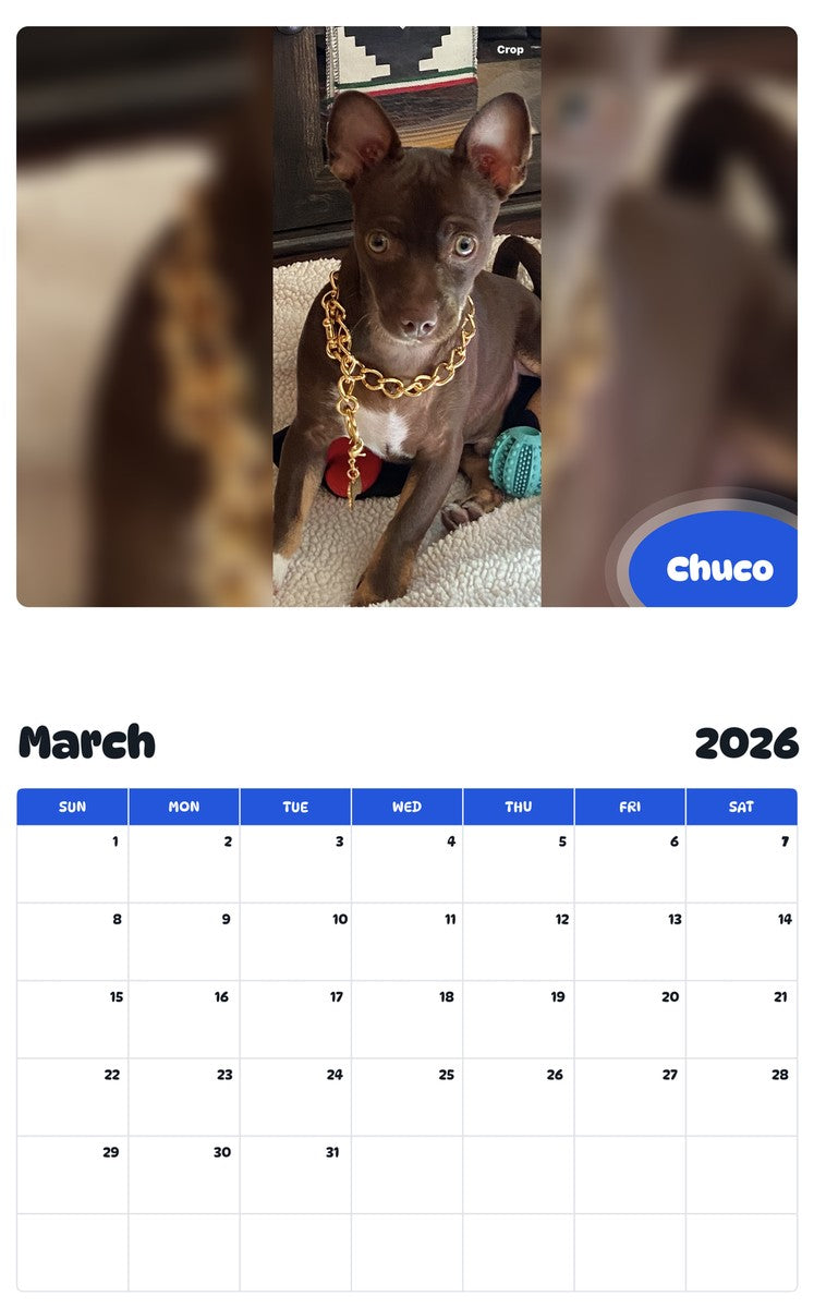 November 2025 - October 2026 Chuco - Pawidols Pet Calendar