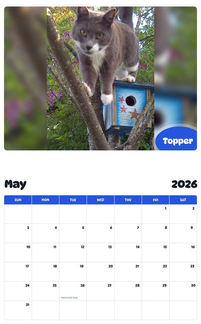 2026 - 2027 Topper - Pawidols Pet Calendar