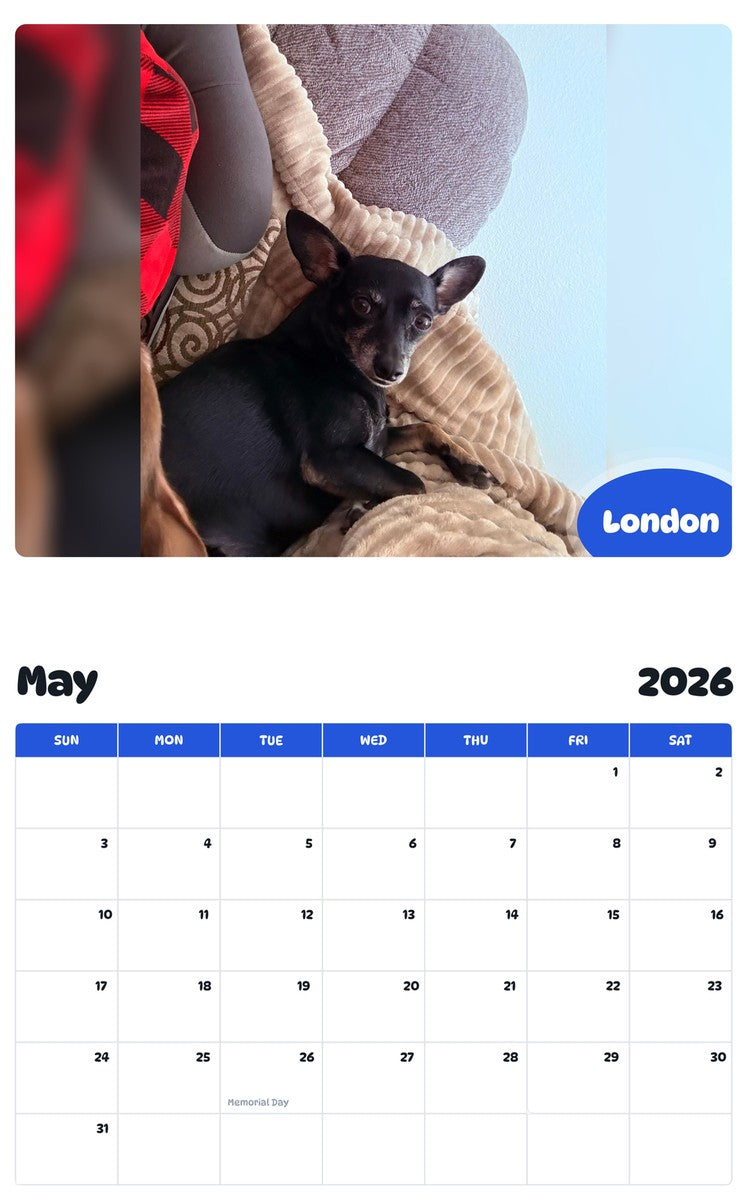 2026 - 2027 London - Pawidols Pet Calendar