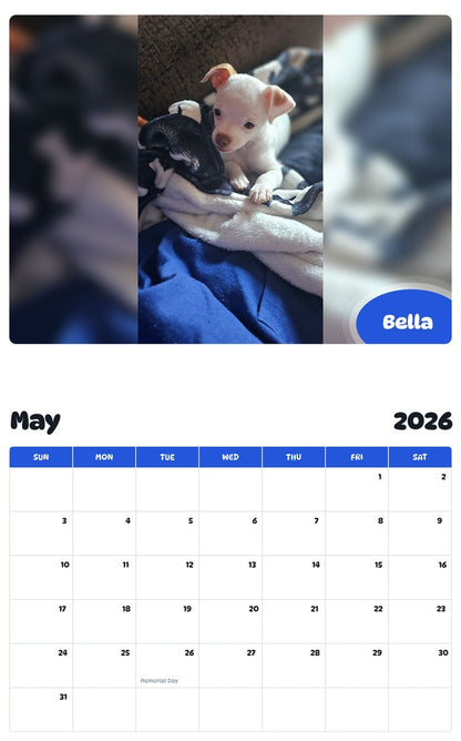 2026 - 2027 Bella - Pawidols Pet Calendar